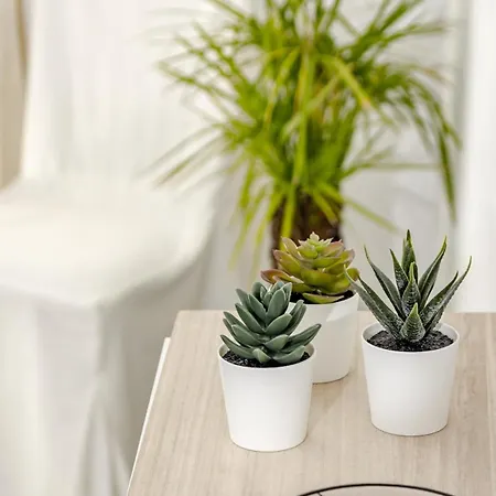 Lcr4 - Large 3-Bedroom Apartment Near Beach