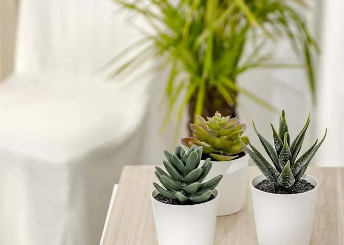 Lcr4 - Large 3-Bedroom Apartment Near Beach